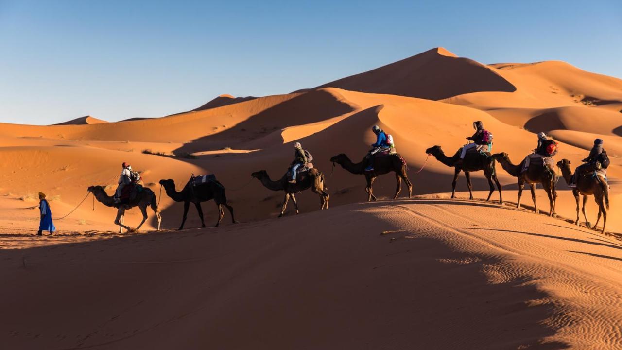 Camp Under Stars (Adults Only) Merzouga Exterior foto